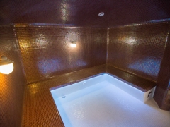 Турецкая баня с подсветкой и звездным небом (3D-sauna.ru)