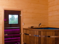Дизайнерская парная с дровяной печью в М.О. г. Домодедово - отделка 3D-sauna.ru