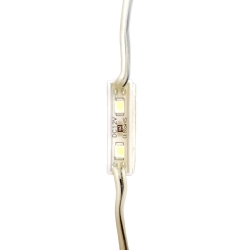 White-warm-модуль светодиодный SteamWater (белый теплый) 0,3 Вт