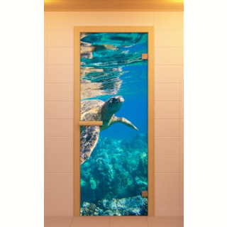 Стеклянная дверь для сауны ALDO с фотопечатью 690х1890мм, Серия 