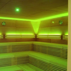Набор точечных светильников для сауны Rondo Licht-2000, 2 шт RGB LED, 120C (мастер, пульт д/у)