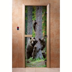 Дверь DoorWood с фотопечатью A064 190х70 (по коробке)