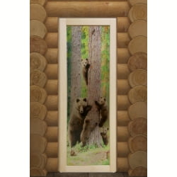 Дверь DoorWood Классика-2 с Фотопечатью 1850х750