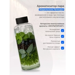 Ароматизатор для бани и сауны Ледяной туман белых ночей, 250 мл
