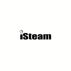 Парогенераторы iSteam