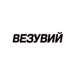 Дровяные печи для бани Везувий 