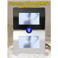 Парогенератор для сауны и хамама Steamtec TOLO MOMENT-30, 3 кВт, Black