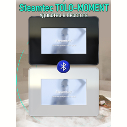 Парогенератор для сауны и хамама Steamtec TOLO MOMENT-60, 6 кВт, White