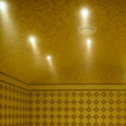 Подсветка Tylo LED 1Вт IP65  для паровой 