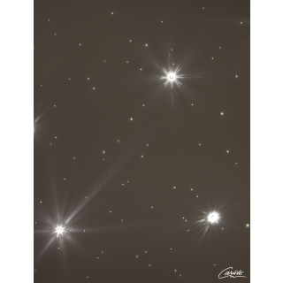 Комплект Cariitti VPAC-1530-CEP200 Звездное небо для хамама (100 волокон. 4000 К). Фото №3