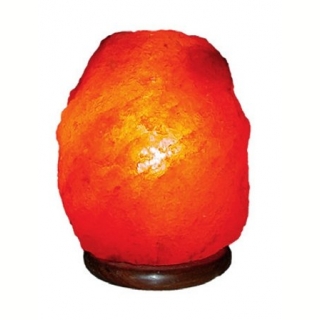 Лампа из цельного куска гималайской соли L. Фото №2