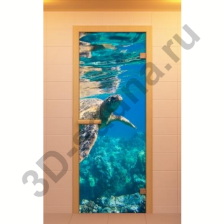 Стеклянная дверь для сауны ALDO с фотопечатью 690х1890мм, Серия 