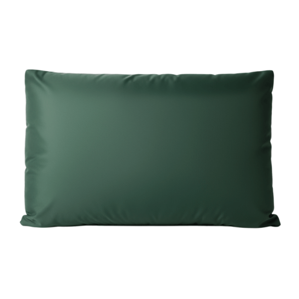 Подушка для бани и сауны Black Banya Light 50×35, цвет Зеленый (наполнитель лузга гречихи). Фото № 1