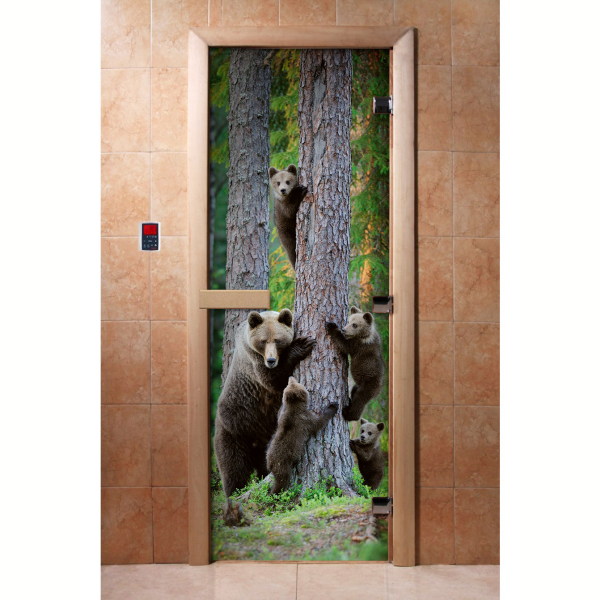 Дверь DoorWood с фотопечатью A064 190х70 (по коробке). Фото № 1