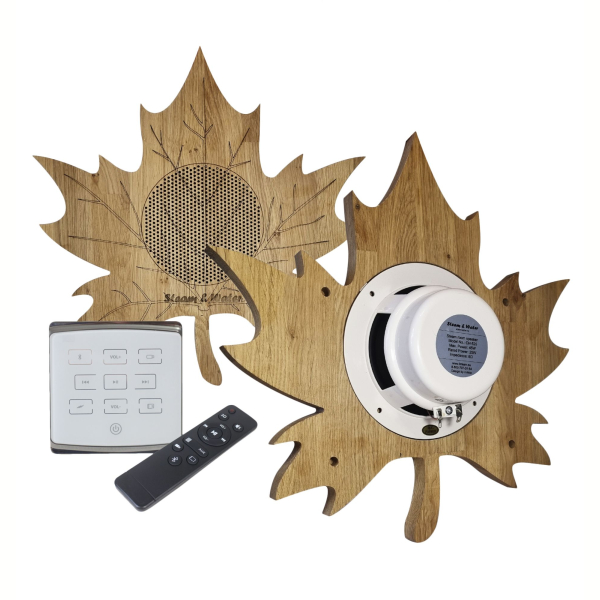 Комплект акустической системы SW 2 white ECO Wood, Кленовый лист (Встраиваемый). Фото № 1