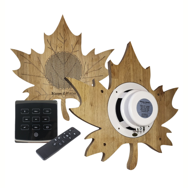 Комплект акустической системы SW 2 Black ECO Wood, Кленовый лист (Встраиваемый). Фото № 1