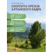 Валик для бани и сауны 30х10 спанбонд (скорлупа алтайского кедра) + чехол (бязь). Превью № 9