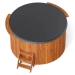 Купель PolarSpa COMFORT COLD 195 термососна светлая. Превью № 5