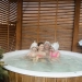 Купель PolarSpa COMFORT FAMILY COLD 220 термососна светлая. Превью № 6