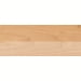 Шпонированная панель для саун и бань RoHol S-Ply, Клен 2500x1250мм. Превью № 1